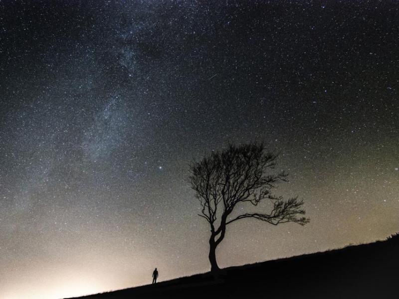 Boldly Going Green: A Star Trek Inspired&nbsp;Prologue