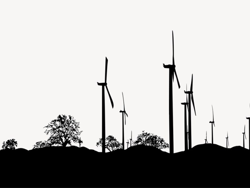 What Is Sustainability?